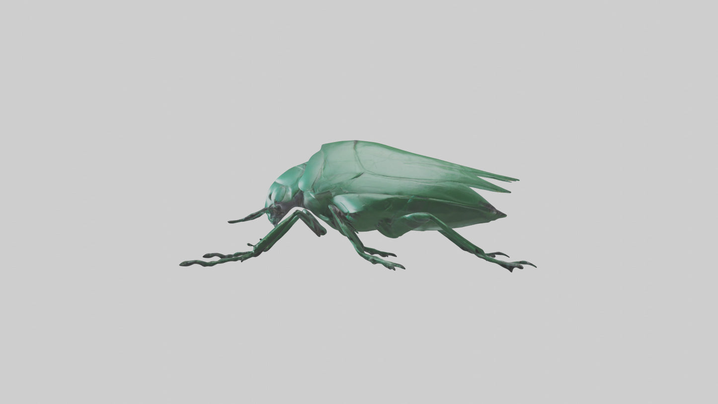 3D model Beetle on leaf model VR / AR / low-poly