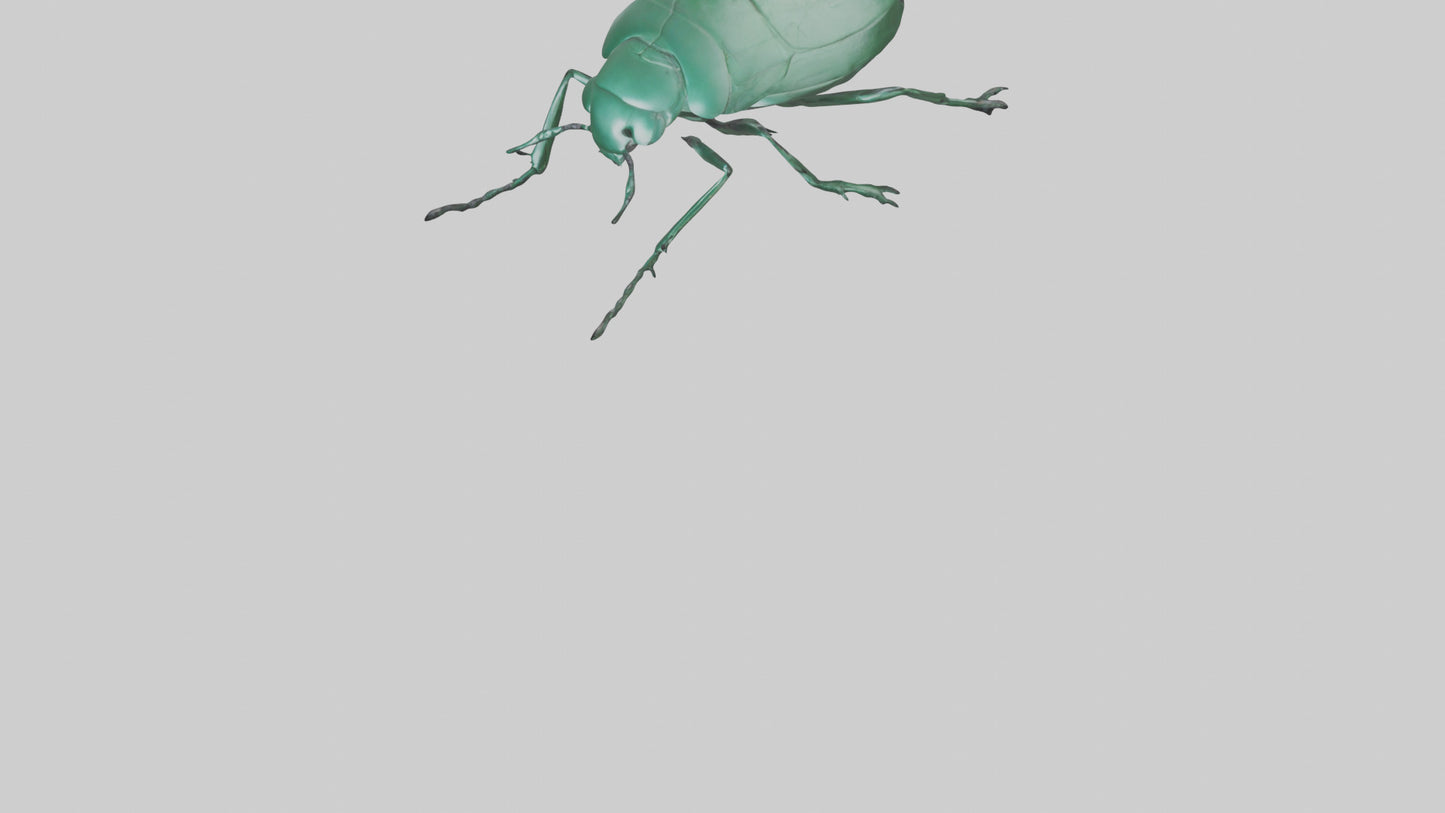 3D model Beetle on leaf model VR / AR / low-poly