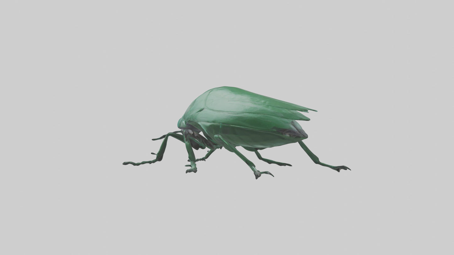 3D model Beetle on leaf model VR / AR / low-poly