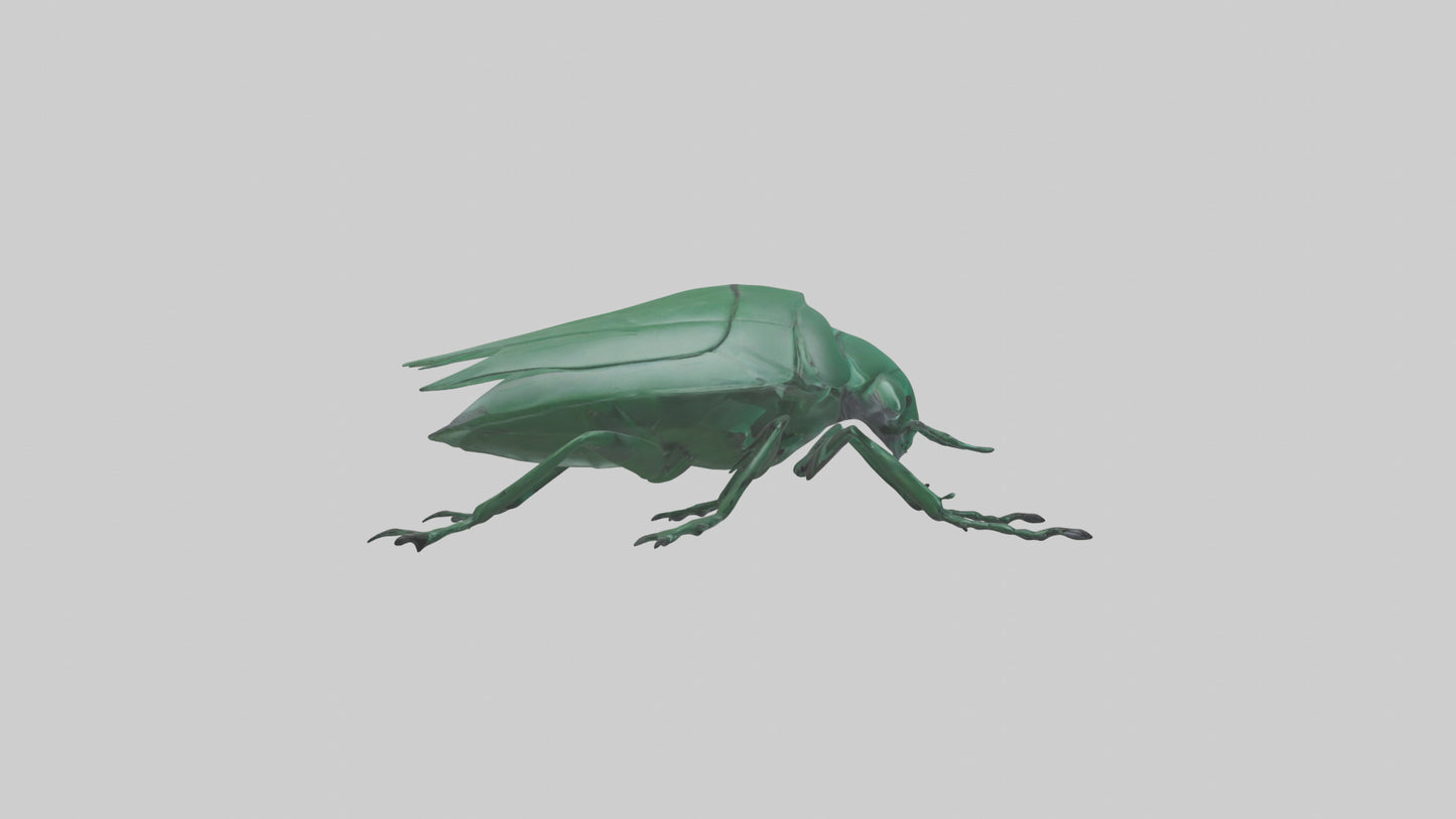 3D model Beetle on leaf model VR / AR / low-poly