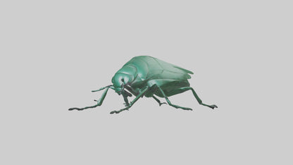3D model Beetle on leaf model VR / AR / low-poly
