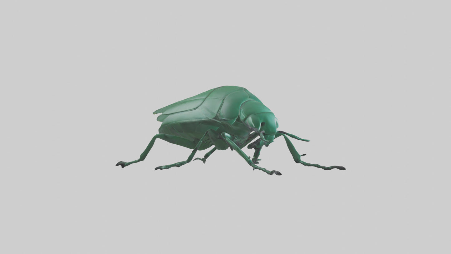 3D model Beetle on leaf model VR / AR / low-poly