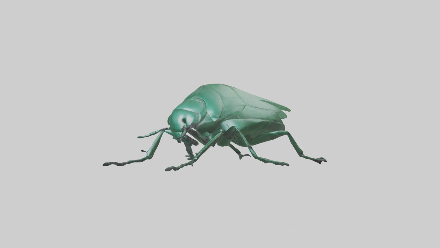3D model Beetle on leaf model VR / AR / low-poly
