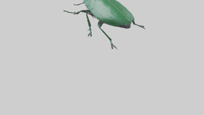 3D model Beetle on leaf model VR / AR / low-poly