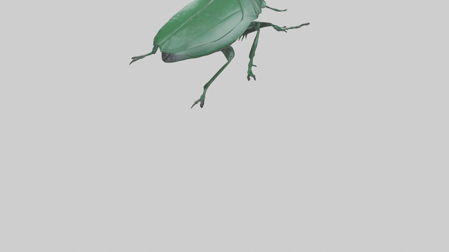 3D model Beetle on leaf model VR / AR / low-poly