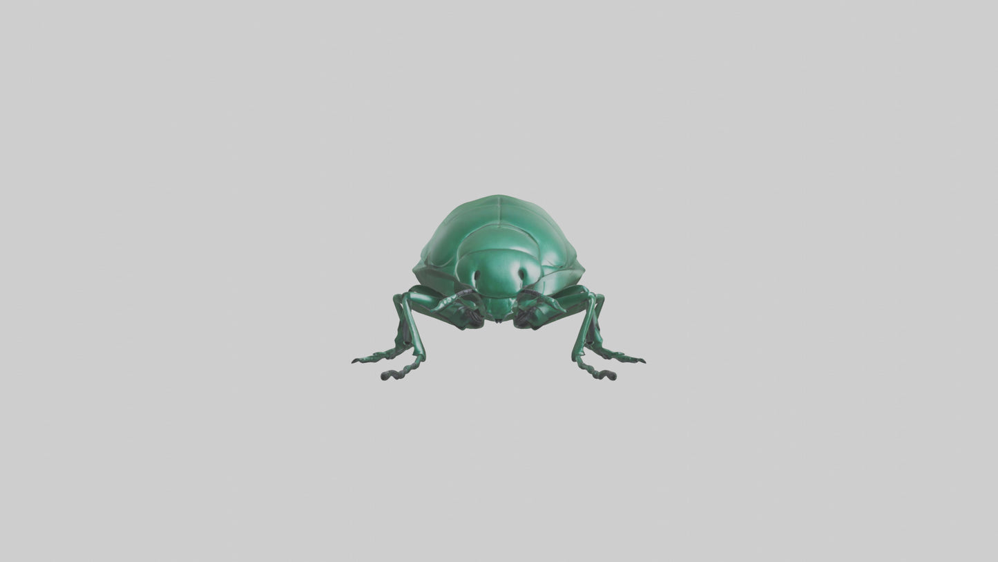 3D model Beetle on leaf model VR / AR / low-poly