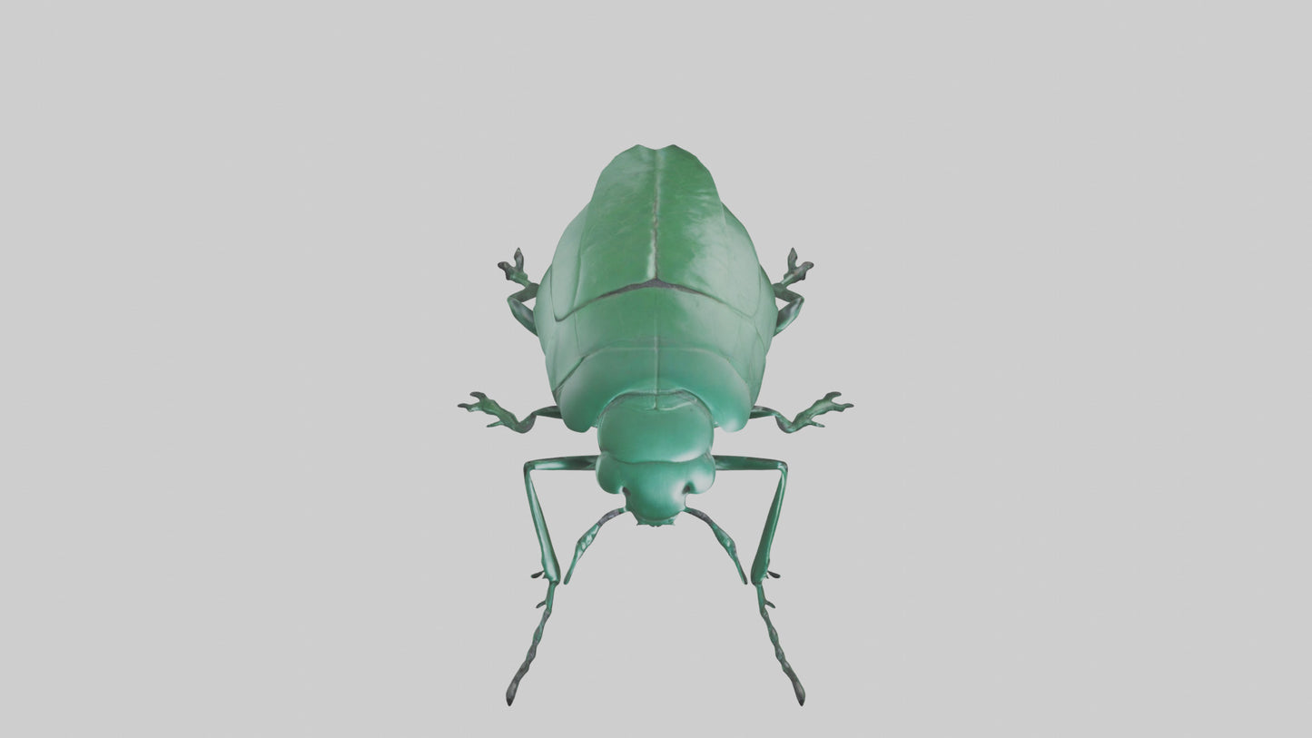 3D model Beetle on leaf model VR / AR / low-poly