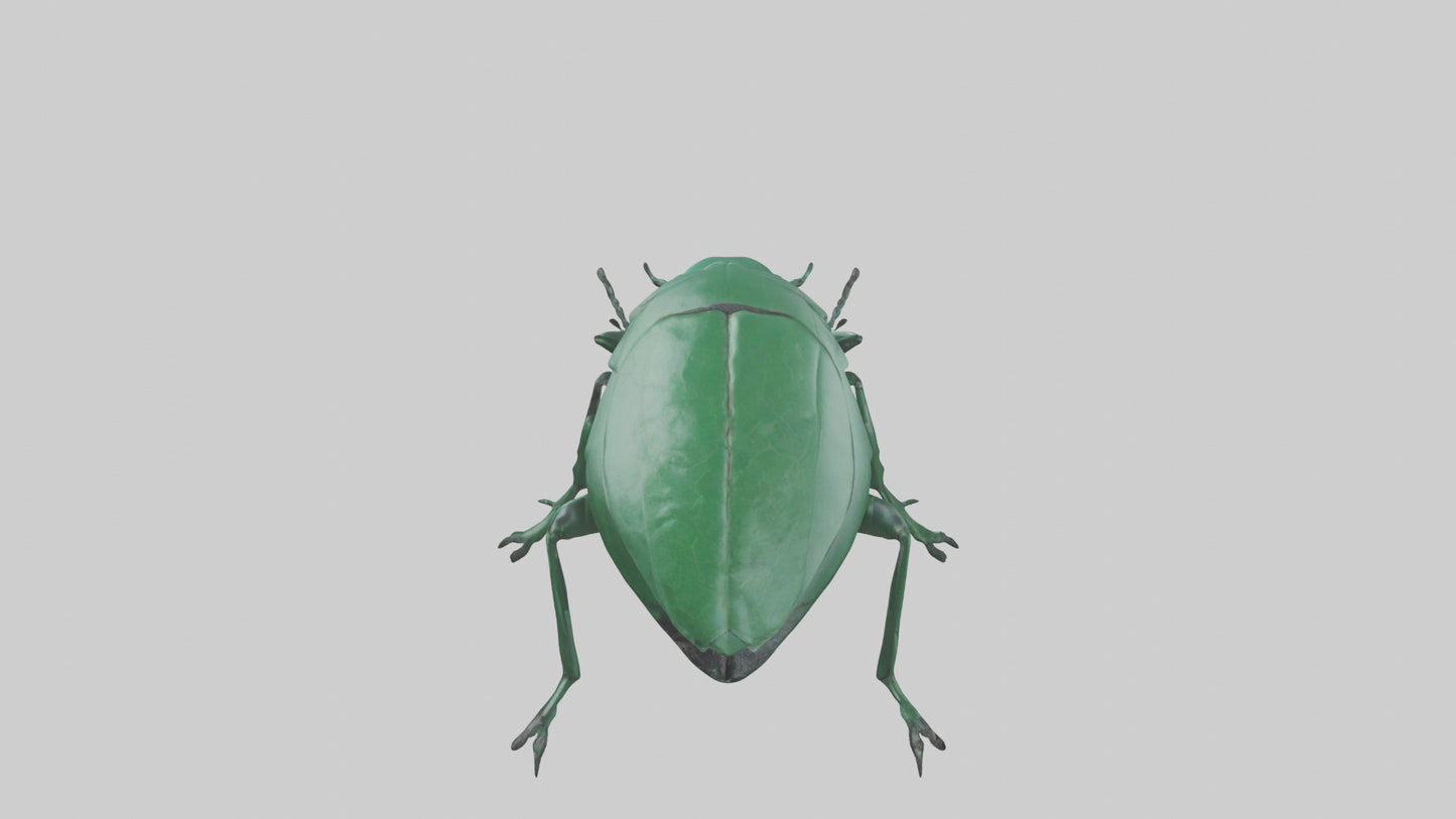 3D model Beetle on leaf model VR / AR / low-poly