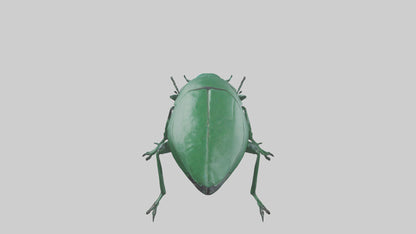 3D model Beetle on leaf model VR / AR / low-poly