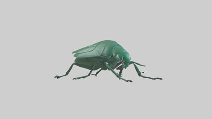 3D model Beetle on leaf model VR / AR / low-poly
