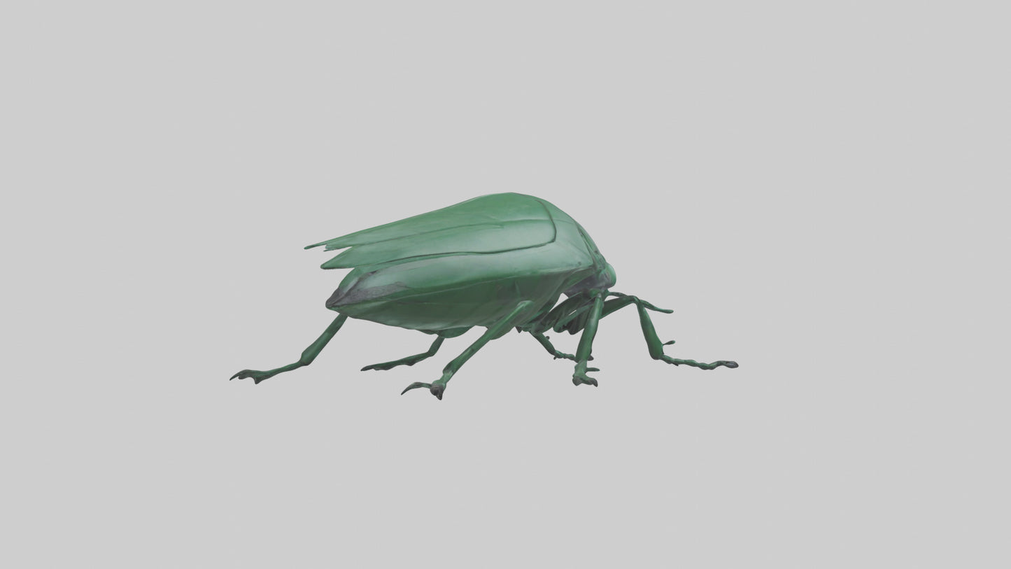 3D model Beetle on leaf model VR / AR / low-poly