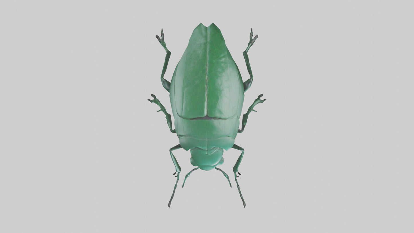 3D model Beetle on leaf model VR / AR / low-poly