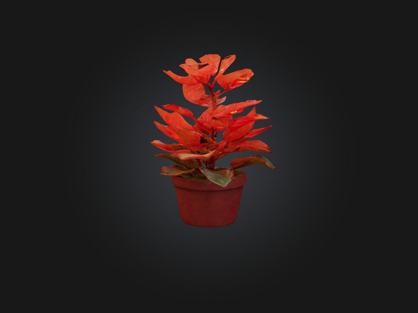 3D model Begonia Model VR / AR / low-poly