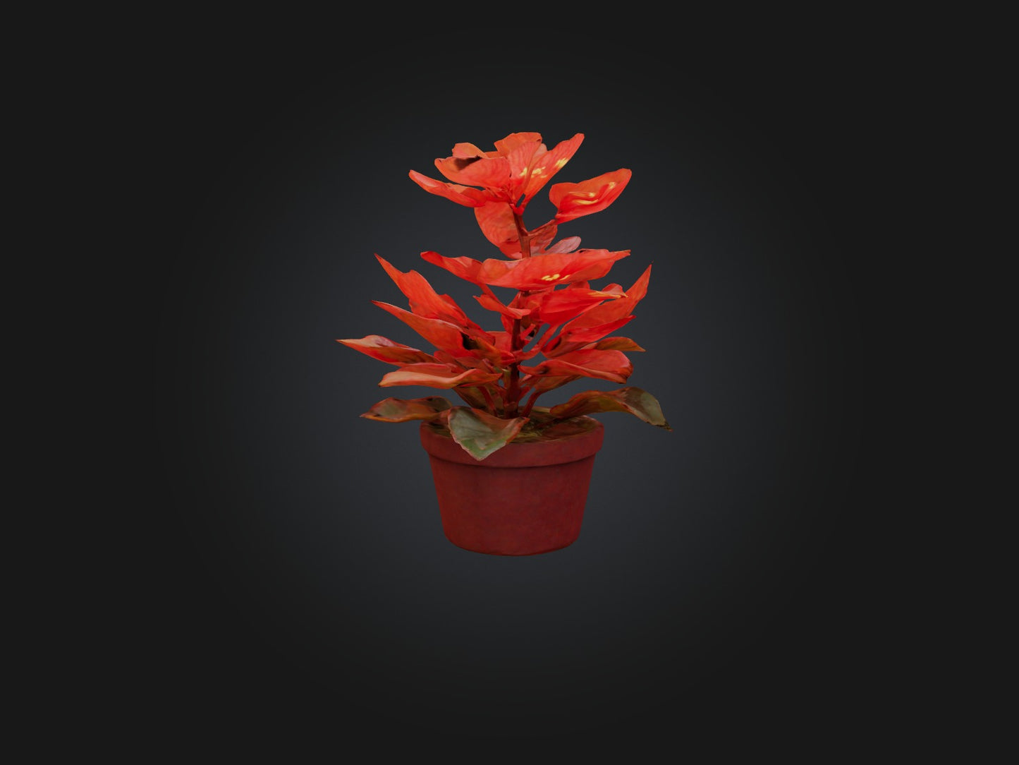 3D model Begonia Model VR / AR / low-poly