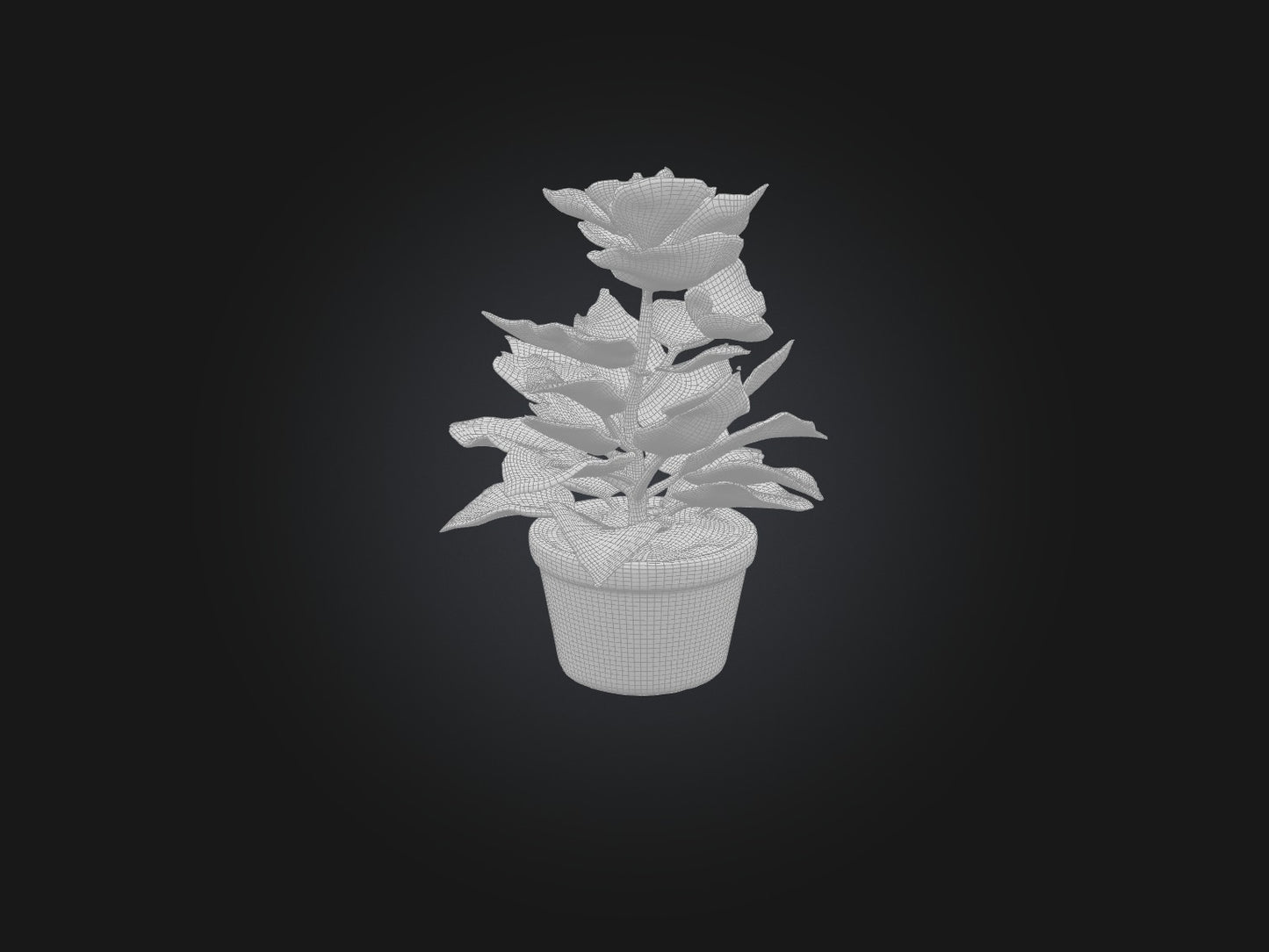 3D model Begonia Model VR / AR / low-poly