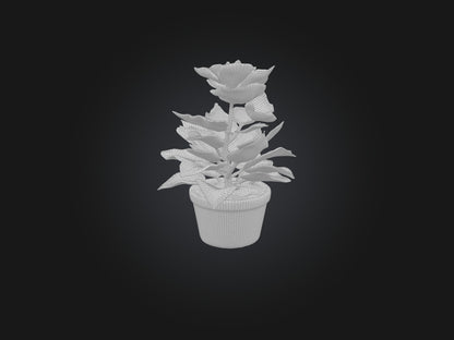 3D model Begonia Model VR / AR / low-poly