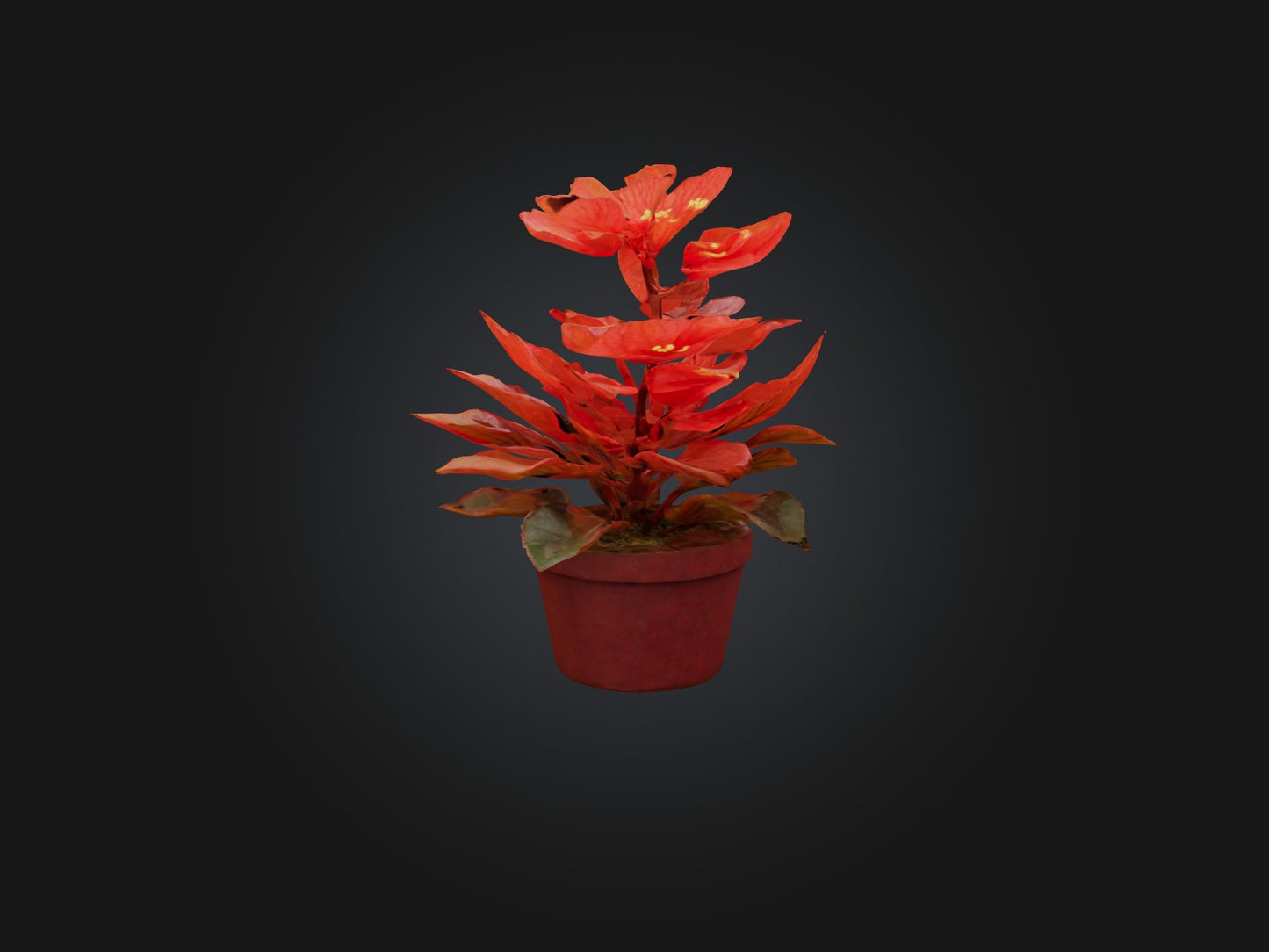 3D model Begonia Model VR / AR / low-poly