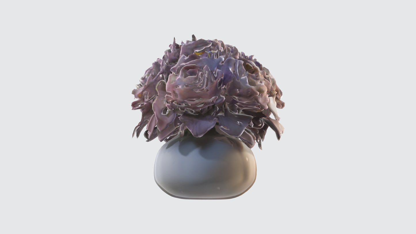 3D model Begonya flowerss VR / AR / low-poly