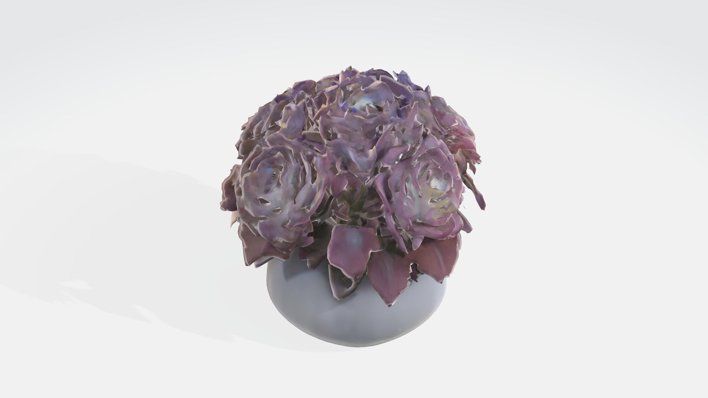 3D model Begonya flowerss VR / AR / low-poly