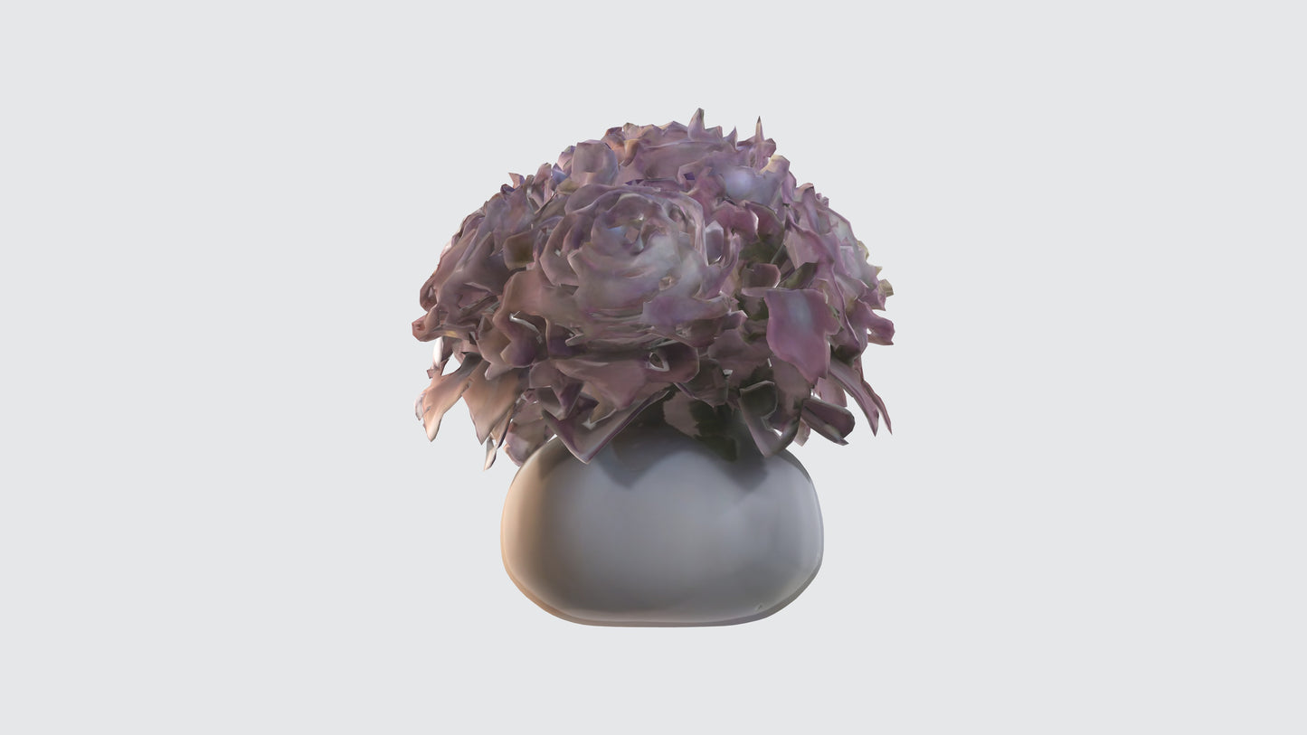 3D model Begonya flowerss VR / AR / low-poly
