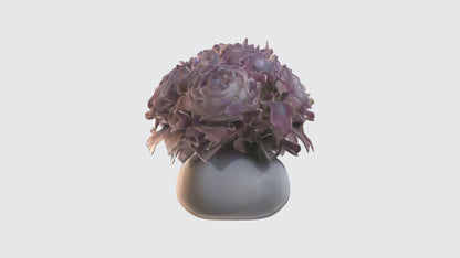 3D model Begonya flowerss VR / AR / low-poly