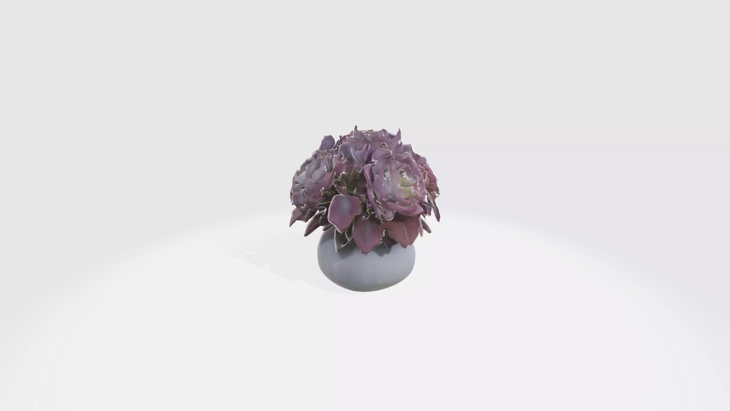 3D model Begonya flowerss VR / AR / low-poly