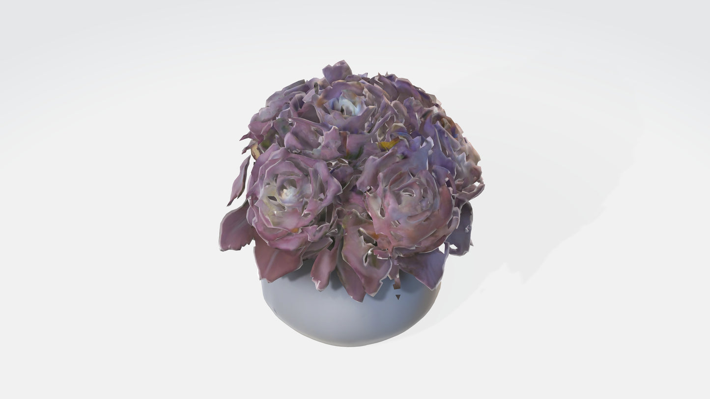 3D model Begonya flowerss VR / AR / low-poly