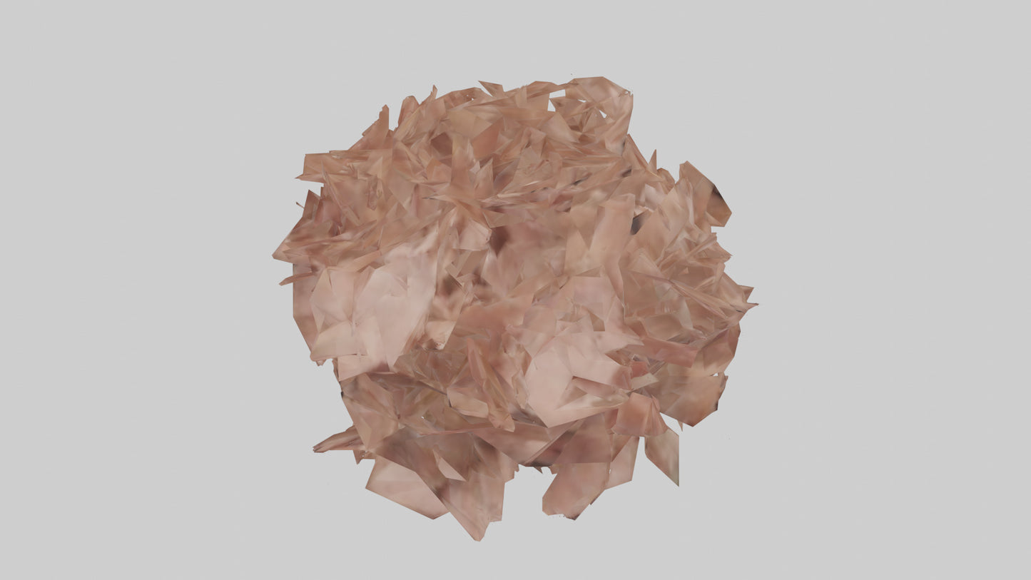 3D model Bellis model VR / AR / low-poly
