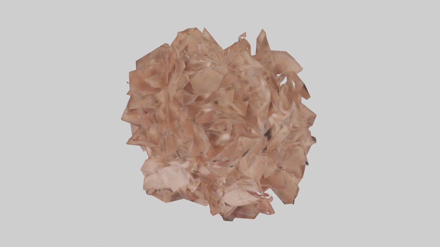 3D model Bellis model VR / AR / low-poly