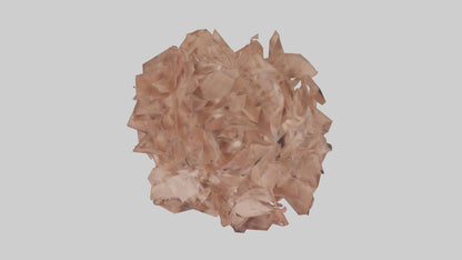 3D model Bellis model VR / AR / low-poly