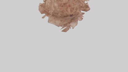 3D model Bellis model VR / AR / low-poly