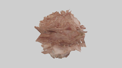 3D model Bellis model VR / AR / low-poly