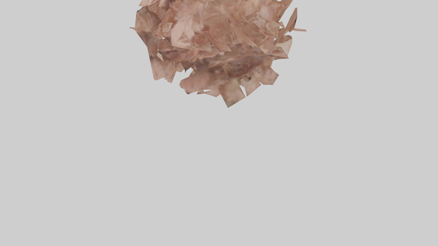 3D model Bellis model VR / AR / low-poly