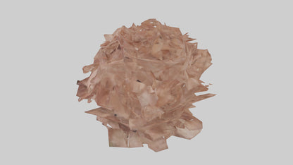 3D model Bellis model VR / AR / low-poly