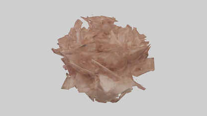 3D model Bellis model VR / AR / low-poly