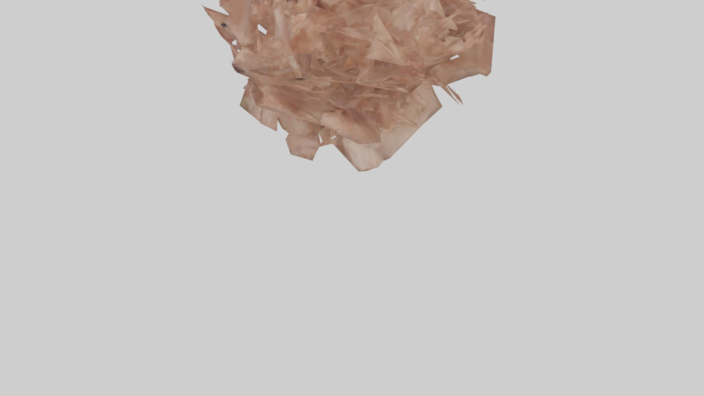 3D model Bellis model VR / AR / low-poly