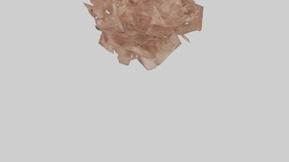 3D model Bellis model VR / AR / low-poly