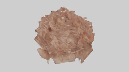 3D model Bellis model VR / AR / low-poly