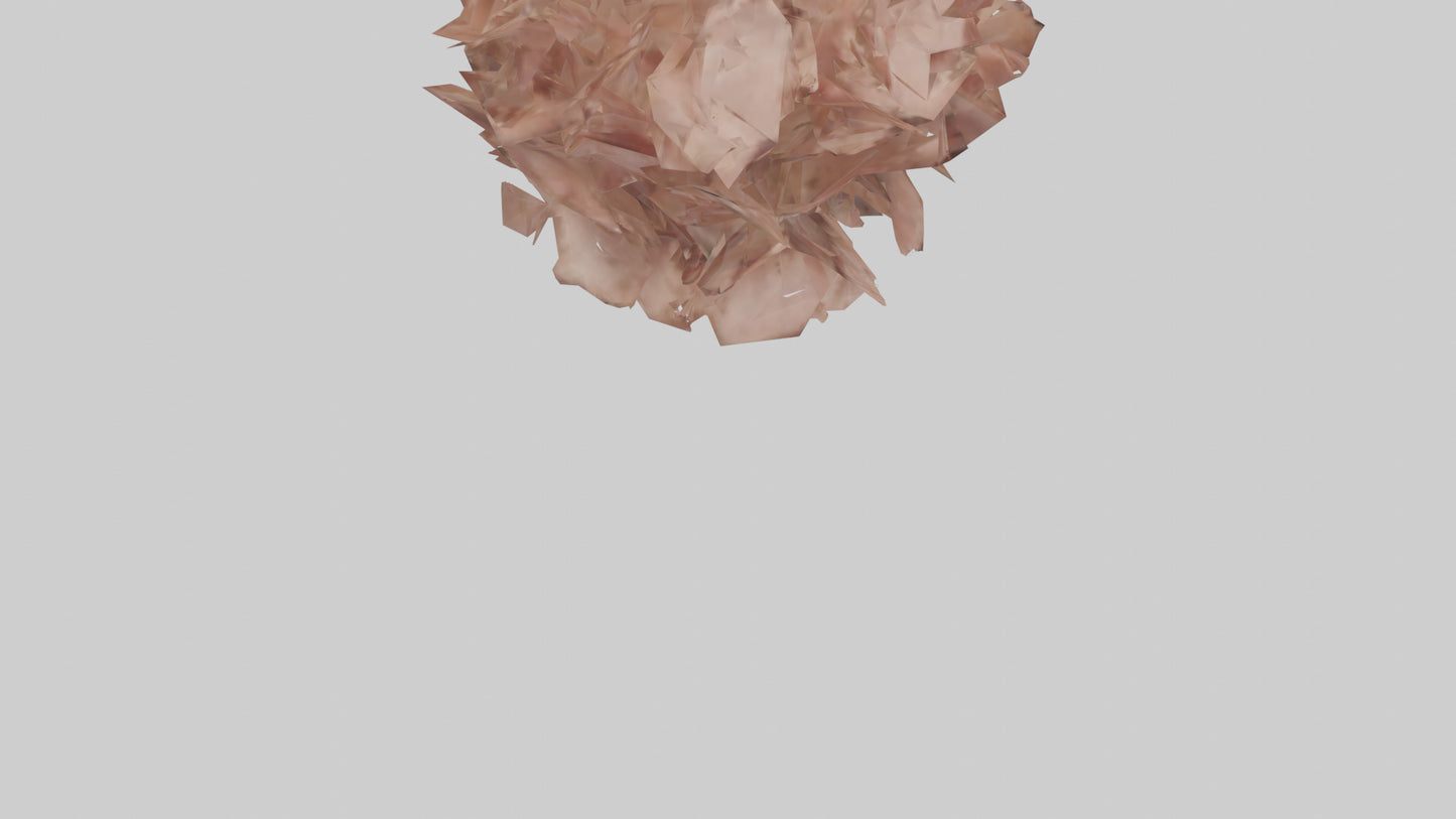 3D model Bellis model VR / AR / low-poly