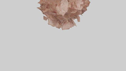 3D model Bellis model VR / AR / low-poly