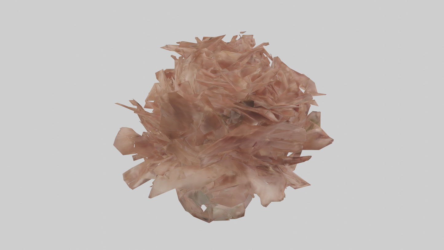 3D model Bellis model VR / AR / low-poly