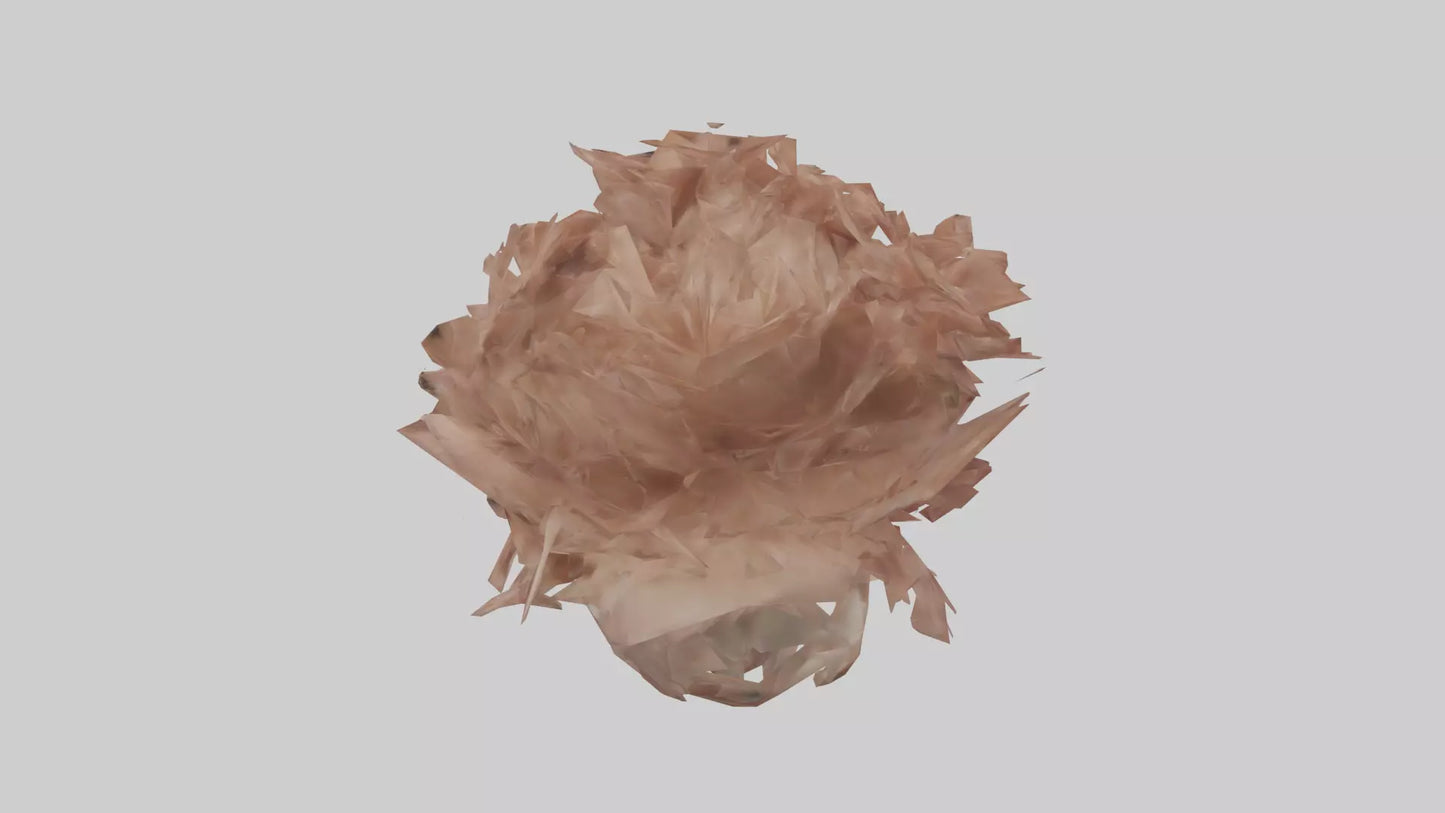 3D model Bellis model VR / AR / low-poly