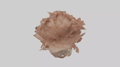 3D model Bellis model VR / AR / low-poly