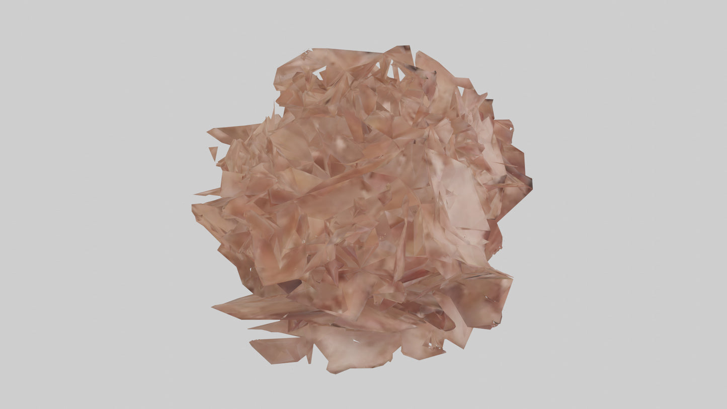 3D model Bellis model VR / AR / low-poly