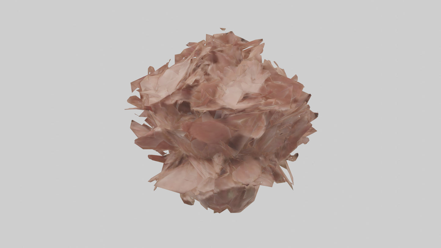 3D model Bellis model VR / AR / low-poly