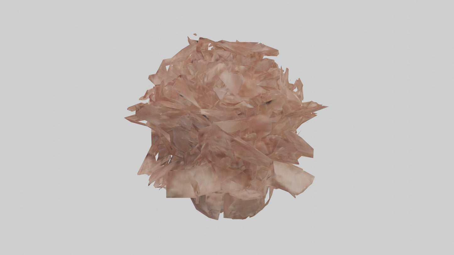 3D model Bellis model VR / AR / low-poly