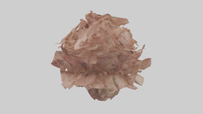 3D model Bellis model VR / AR / low-poly