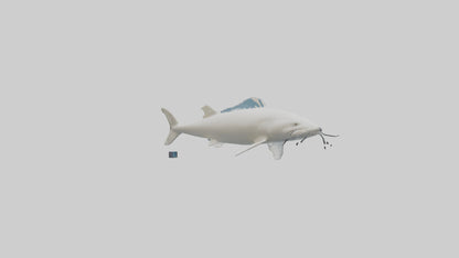 3D model Beluga Sturgeon swimming model VR / AR / low-poly