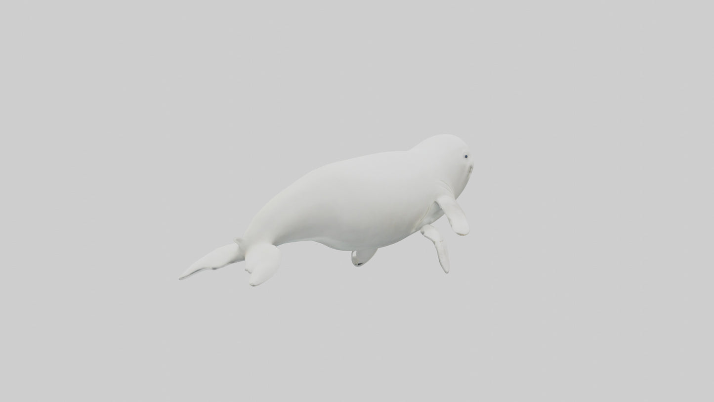 3D model Beluga Whale statue model VR / AR / low-poly