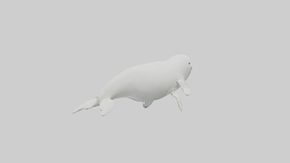 3D model Beluga Whale statue model VR / AR / low-poly